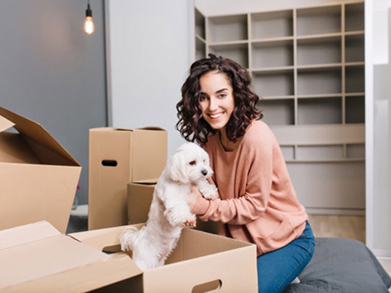 How to Make Pet Relocation Stress-free for You & Your Pet