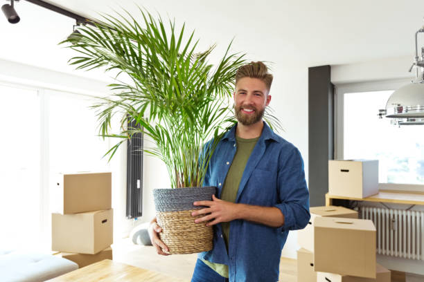Moving With Plants? Here Is a Guide from Kingdom International Movers Dubai to Help You