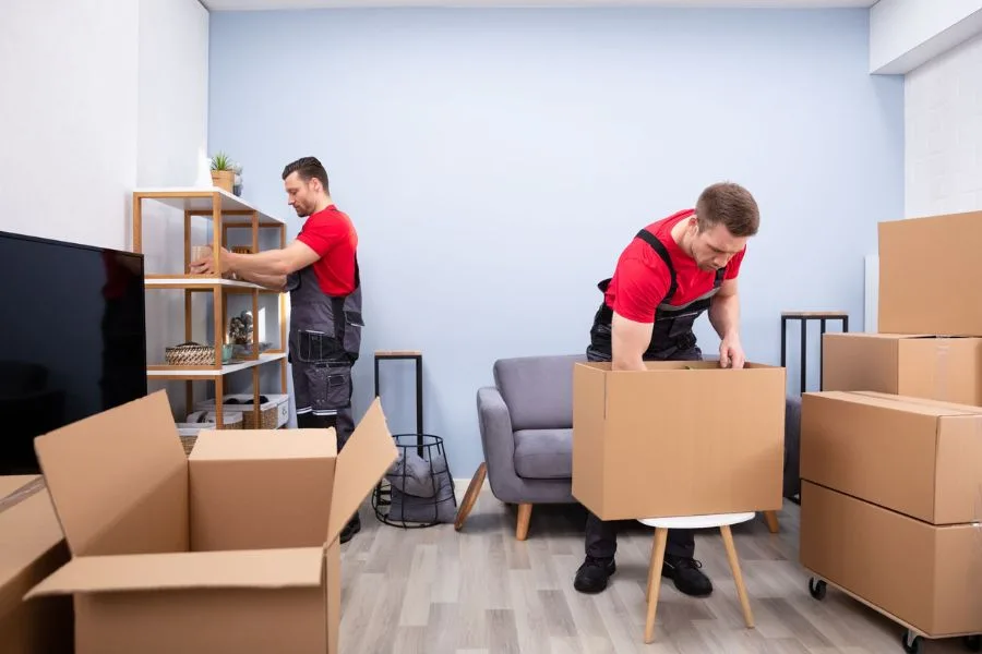 The Role Of Insurance In Moving: Why You Need To Consider It When Hiring Movers In Dubai