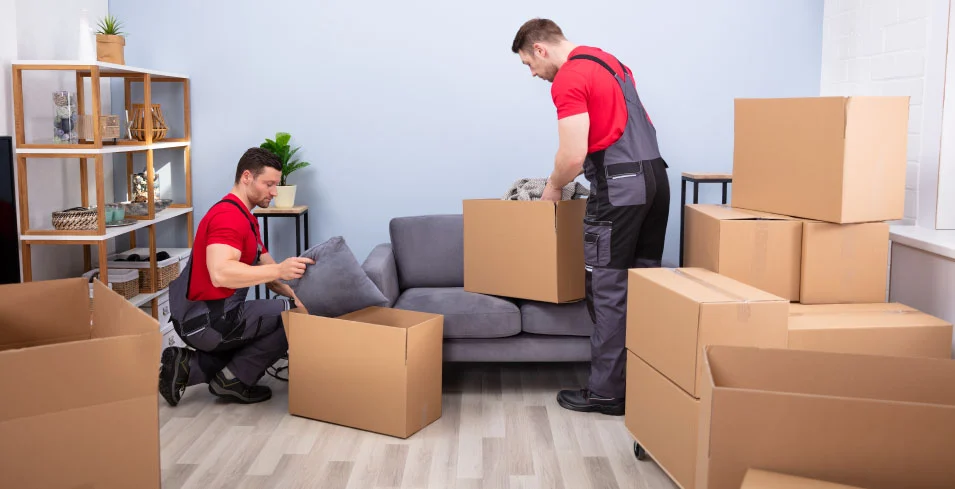 The 5 Most Important Protecting Materials to Use for Your Upcoming Move