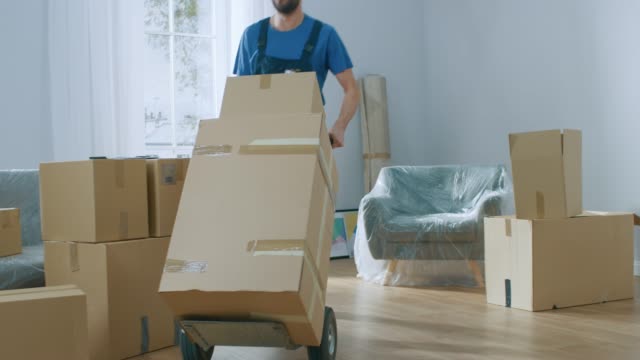 Simplify Your Solo Move: Expert Advice for Making the Process Easier